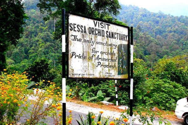sessa-orchid-sanctuary