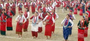 Si-Donyi Festival