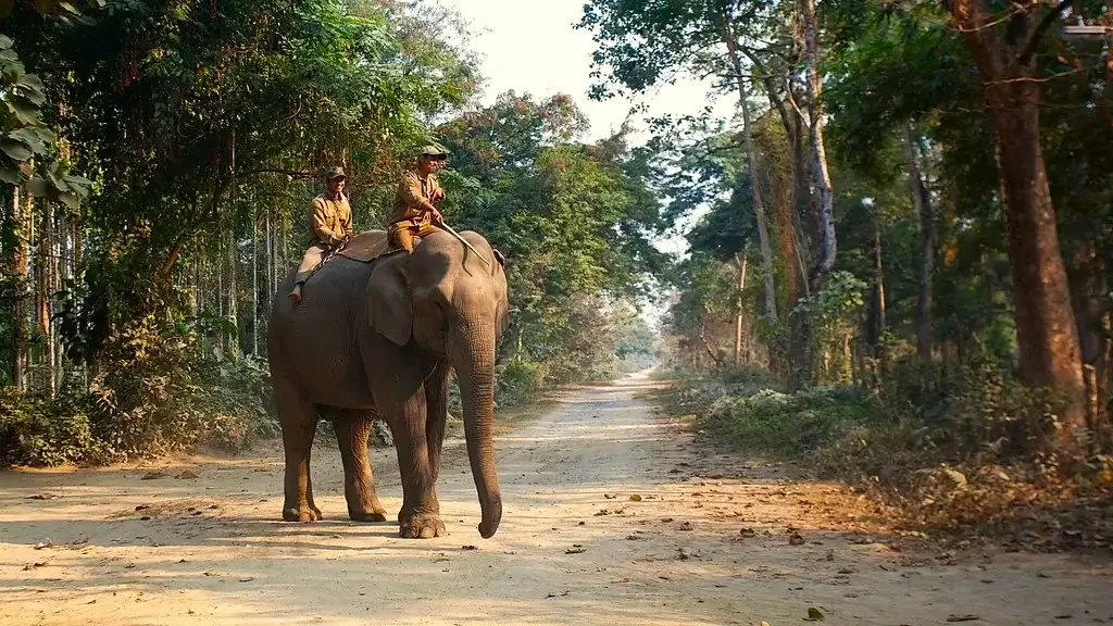 Nameri National Park 