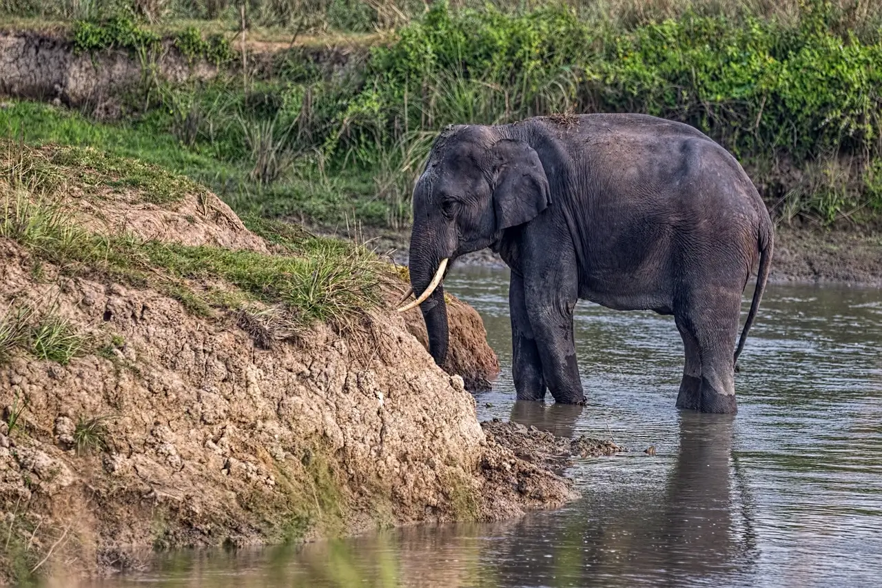 Guwahati, Shillong & Kaziranga Tour