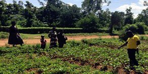 Akbarpur – Agriculture Research Centre Assam