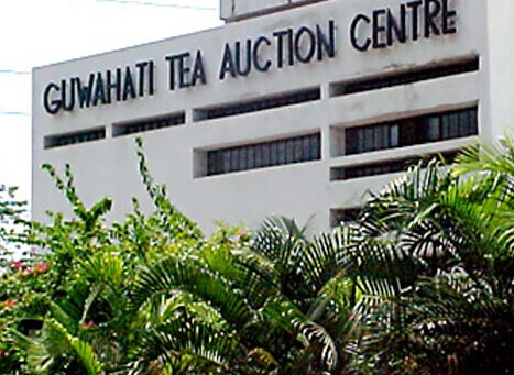 Guwahati Tea Auction Centre, Assam
