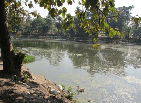 Jor Pukhuri Guwahati, Assam