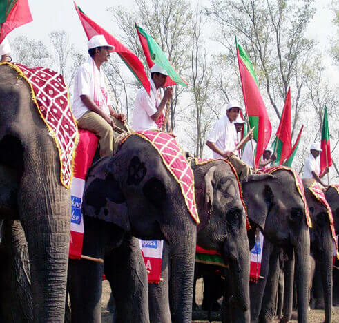 Elephant Festival in Assam