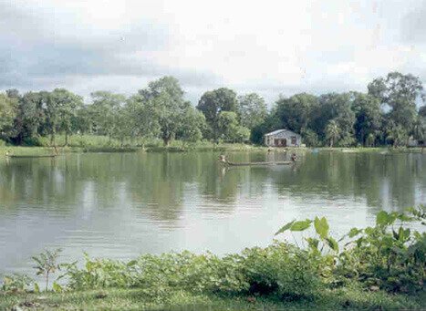 Ganga Pukhuri Sonkuriha Nalbari, Assam