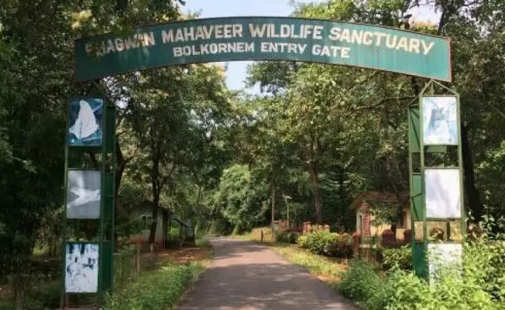 Bhagwan Mahavir Wildlife Goa