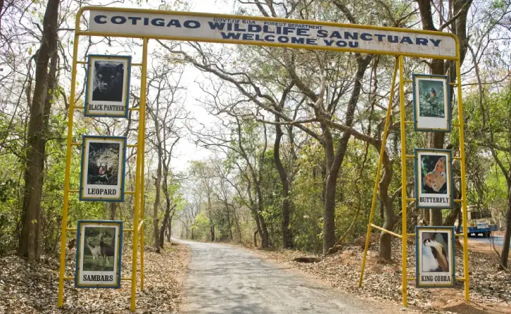 Cotigao Wildlife Sanctuary
