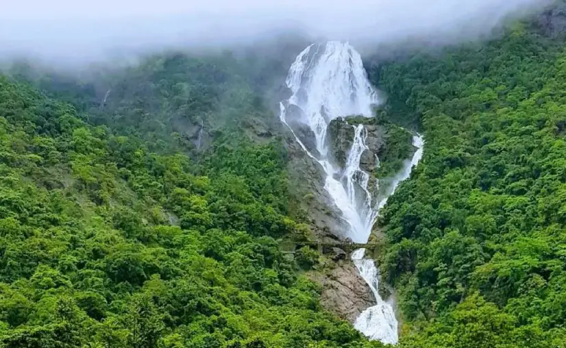 Dudhsagar Falls South Goa | Waterfalls in Goa | Goa Tourism