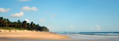 Majorda Beach, Goa