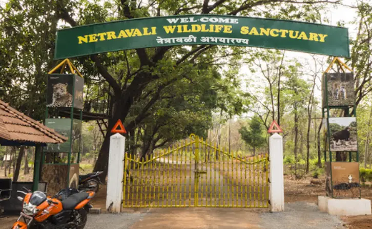 Netravali Wildlife Sanctuary Goa