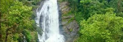 Atukkal Waterfalls Munnar, Kerala