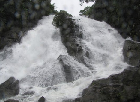 Charpa Falls Thrissur
