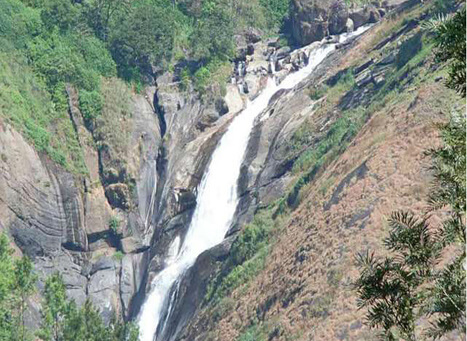 Cheeyappara & Valara Waterfalls Kerala