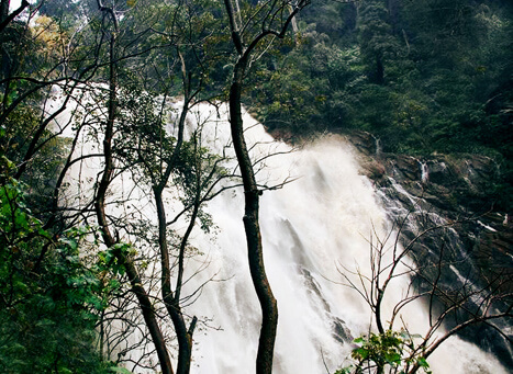 Chethalayam Falls Wayanad, Kerala