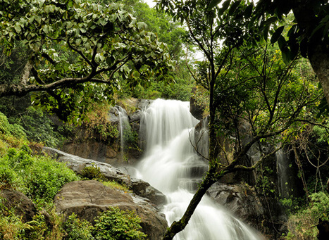 Chethalayam Falls Kerala