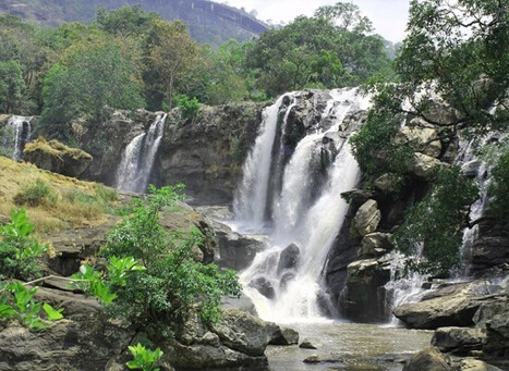 Chinnar Wildlife Sanctuary Munnar, Kerala