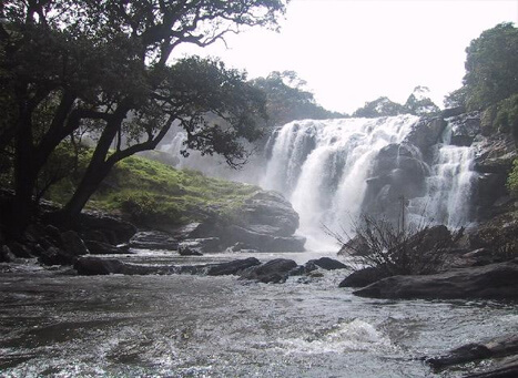 Keezharkuthu Falls Munnar