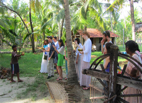 Kumbalangi Integrated Tourism Village