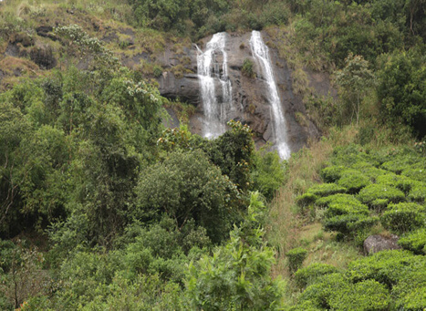 Nyayamakad Waterfalls Idukki