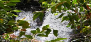 Pallivasal Falls, Munnar