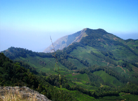 Pothamedu Viewpoint Munnar