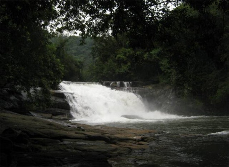 Thommankuthu Waterfalls Munnar, Kerala