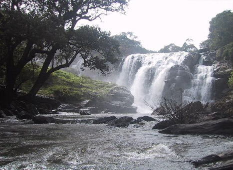 Thoovanam Falls, Munnar