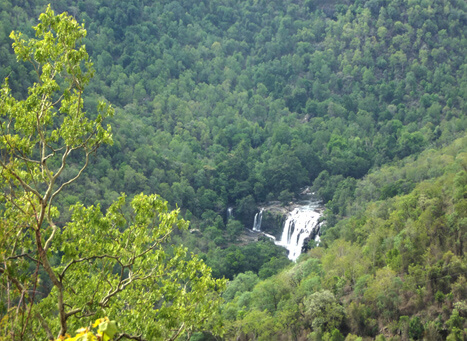 Thoovanam Falls Kerala