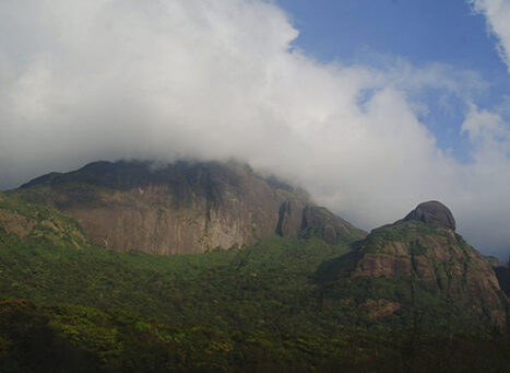 Agasthyakoodam Peak Thiruvananthapuram