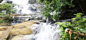 Aruvikkuzhi Waterfalls Kerala