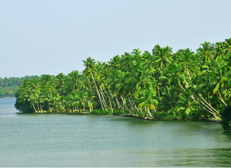 Ashtamudi Lake
