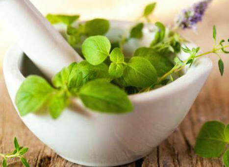 Ayurveda in Thekkady, Kerala