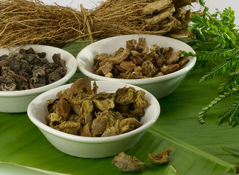 Ayurveda in Wayanad