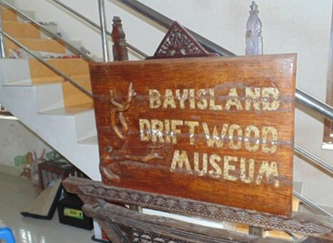 Bay Island Driftwood Museum Kerala