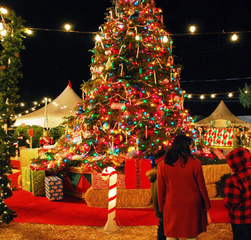 Christmas Festival in Kerala