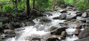 Dhoni Waterfalls Kerala