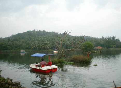 Kalipoika Kozhikode