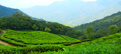 Kerala Tour Package from Chennai