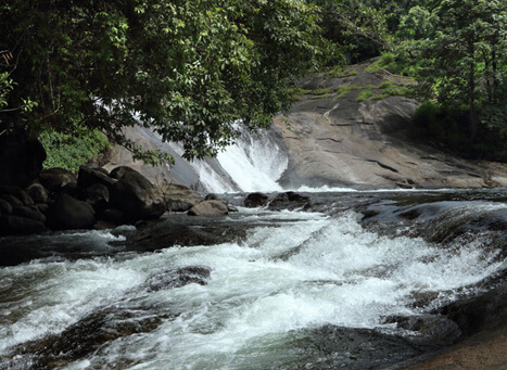 Kozhippara Falls Kozhikode