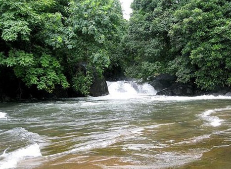 Kozhippara Waterfalls Kerala