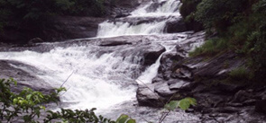 Kozhipara Falls