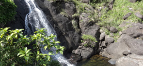 Madammakkulam Waterfalls Kerala