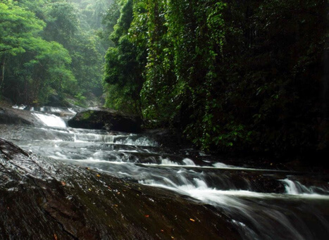 Palaruvi Waterfall Kerala