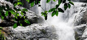 Palaruvi Waterfalls Kollam, Kerala