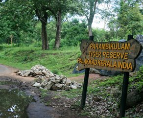 Flora & Fauna in Parambikulam Sanctuary