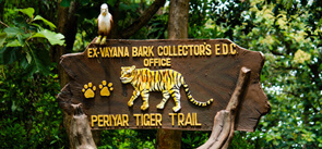 Periyar Tiger Trail, Thekkady