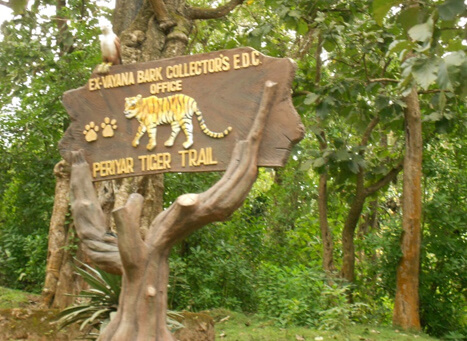 Periyar Wildlife Sanctuary Kerala
