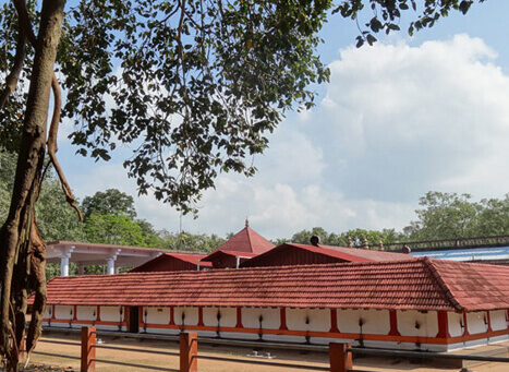 Pisharikavu Temple Kozhikode, Kerala