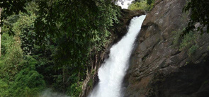 Sentinel Rock Waterfalls Kerala