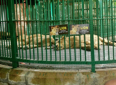 Thiruvananthapuram Zoo, Kerala